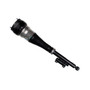 Air Suspension Strut 44-275433