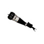 Air Suspension Strut 44-240004