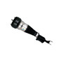 Air Suspension Strut 44-240011