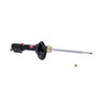 Gas Strut 234904 - front view