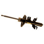 Gas Strut 334981 - front view