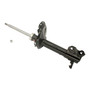 Gas Strut 339224 - front view