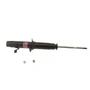 Gas Strut 341118 - angled view