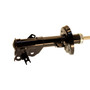 Gas Strut 339389 - angled view