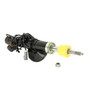 Electric Strut SR3001