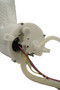F1164A Fuel Pump Module Assembly F1164A - packaging