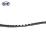 Engine Timing Belt SKT332 - back view