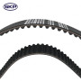 Engine Timing Belt SKTB334