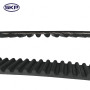 Engine Timing Belt SKT304 - back view