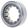 Bearing - CRB ( Cylindrical Roller Bearing) 102411 - front view