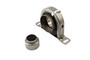 Drive Shaft Center Support Bearing 212031-1X
