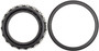 Differential Bearing Set 707489X - side view