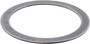 Differential Pinion Shim 703032 - angled view