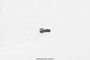 Wilwood Stainless Steel Rotor Bolt - 12pt 1/4-20 X .75 L