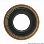 Seal 5778 - top view