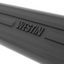 Westin Premier 6 in Oval Side Bar 75 in - Stainless Steel
