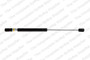 Rear Lift Support 8104224 - Direct Fit - front view