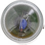 LongerLife Miniature Bulb R5WLL (2 Pack) R5WLLB2 - top view