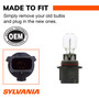Basic Fog Bulb PSX26W PSX26W.BP - connector view