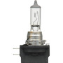 Basic Halogen Headlight Bulb H11B H11B.BX - front view