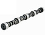Camshaft for Chevy 6.0L 366 7.0L 427 - ES669
