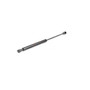 Hood Lift Support V20-2035