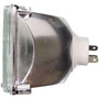 Standard Multi-Purpose Light Bulb H6545 - side view