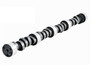 Camshaft for various 65-76 GM/Chevrolet 366/396/427/454 V8 | Uses Flat Followers