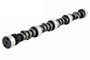 Camshaft for various 65-76 GM/Chevrolet 366/396/427/454 V8 | Uses Flat Followers
