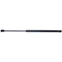 Liftgate Lift Support 6129 - Direct Fit - front view
