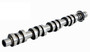 Enginetech ES1584 Left Bank Camshaft fits Ford 4.6L 5.4L