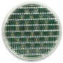 Super 44 LED 4 in Round Clear Back Up Light 44041C - front view