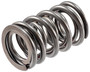 High Performance Valve Spring 466744 - angled view
