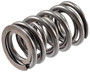 High Performance Valve Spring 466744