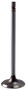 Engine Intake Valve V1741 - front view