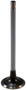 Engine Exhaust Valve V1786 - front view