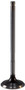Engine Exhaust Valve V2007 - front view