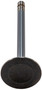 Engine Exhaust Valve V0919 - bottom view