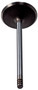 Engine Intake Valve V1789 - top view