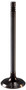Engine Exhaust Valve V2010 - front view