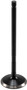 Engine Exhaust Valve V3209 - side view