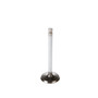 Engine Intake Valve V1505 - angled view