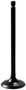 Engine Intake Valve V5534 - front view