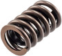 Engine Valve Spring VS-1140 - angled view