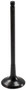 Engine Exhaust Valve V5823 - front view