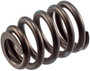 Engine Valve Spring VS-1282