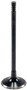 Engine Intake Valve V3367 - front view