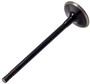 Engine Intake Valve V3367 - angled view