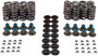 High Performance Valve Spring VSK46659 - kit contents