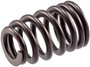 Engine Valve Spring VS-2232